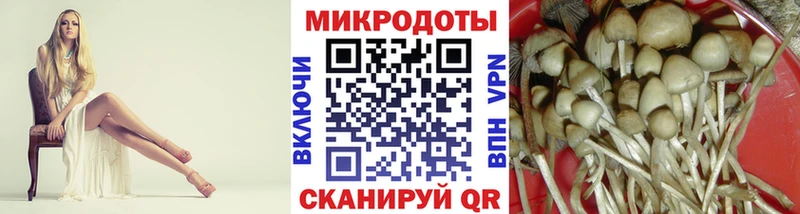 Галлюциногенные грибы мицелий  OMG tor  Зеленоградск 